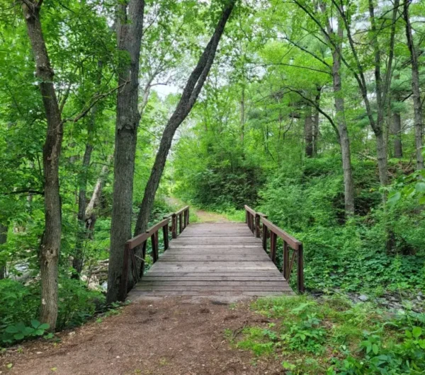 65d604be53382-1024x768 65d604be53382-1024x768