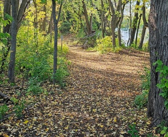 65d604be53e2b-qk5ife6lp0wqeih06z83n2ogjg7fxhtpvep2mf3990